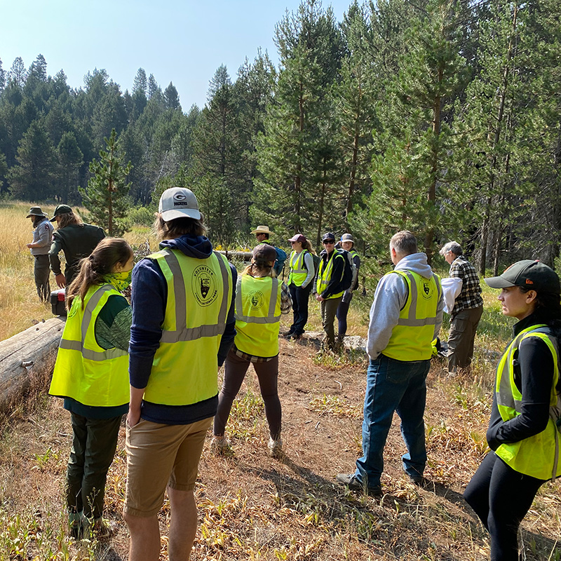 Yosemite Volunteering